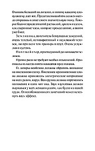 Ревизор